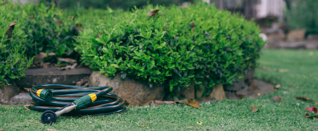 Garden hose coiled in neat pile in the garden